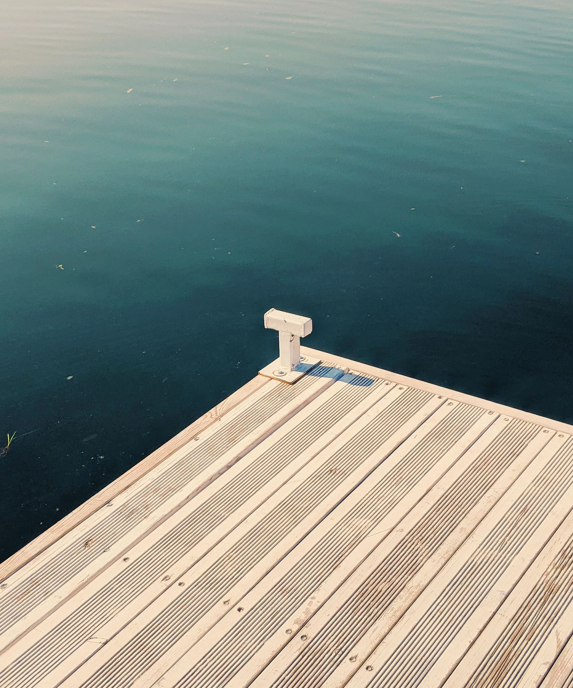 A wooden dock reaching out over still green water