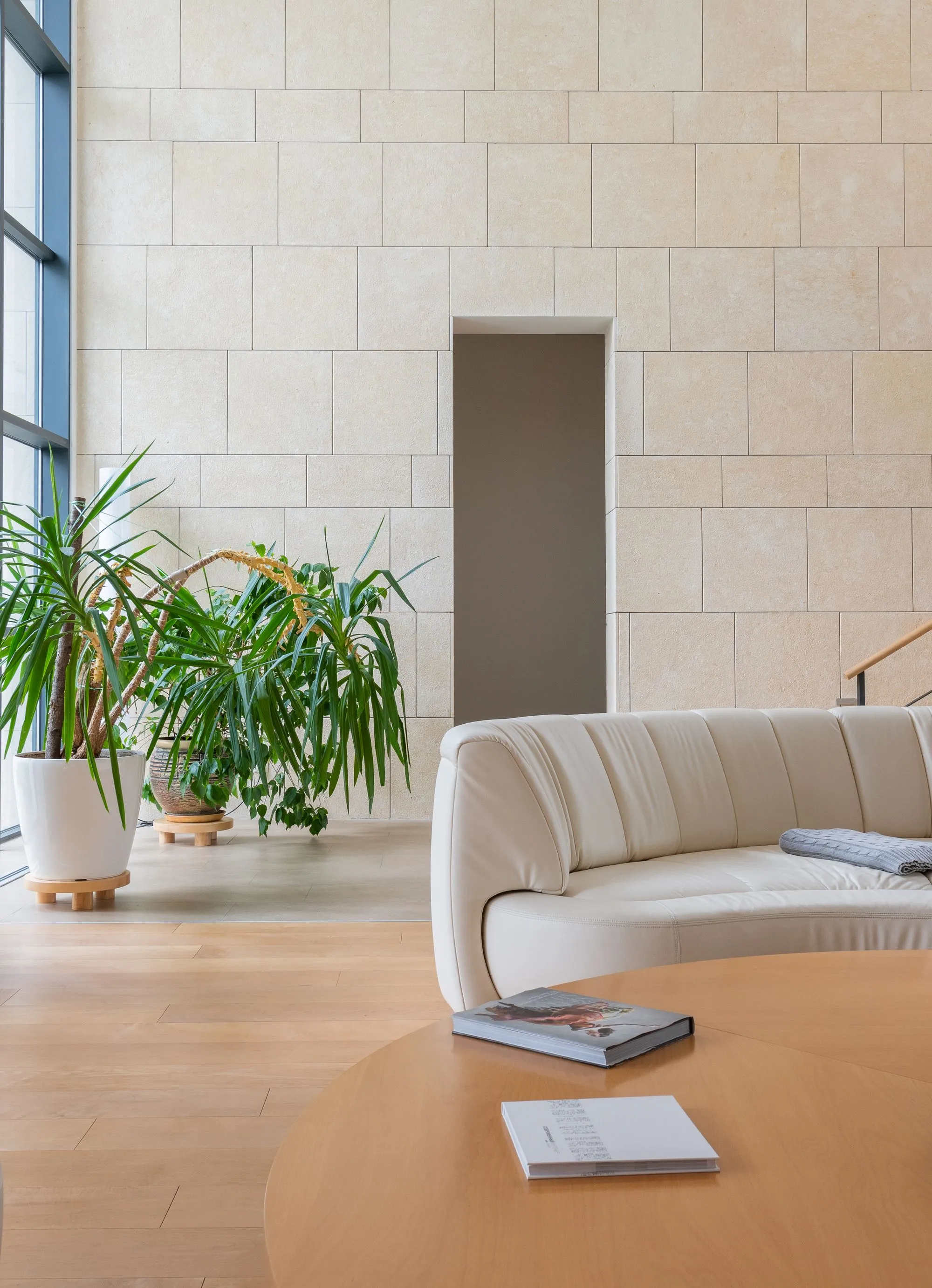 A quiet, sunlit room with a curved sofa, a low wooden table, and green plants