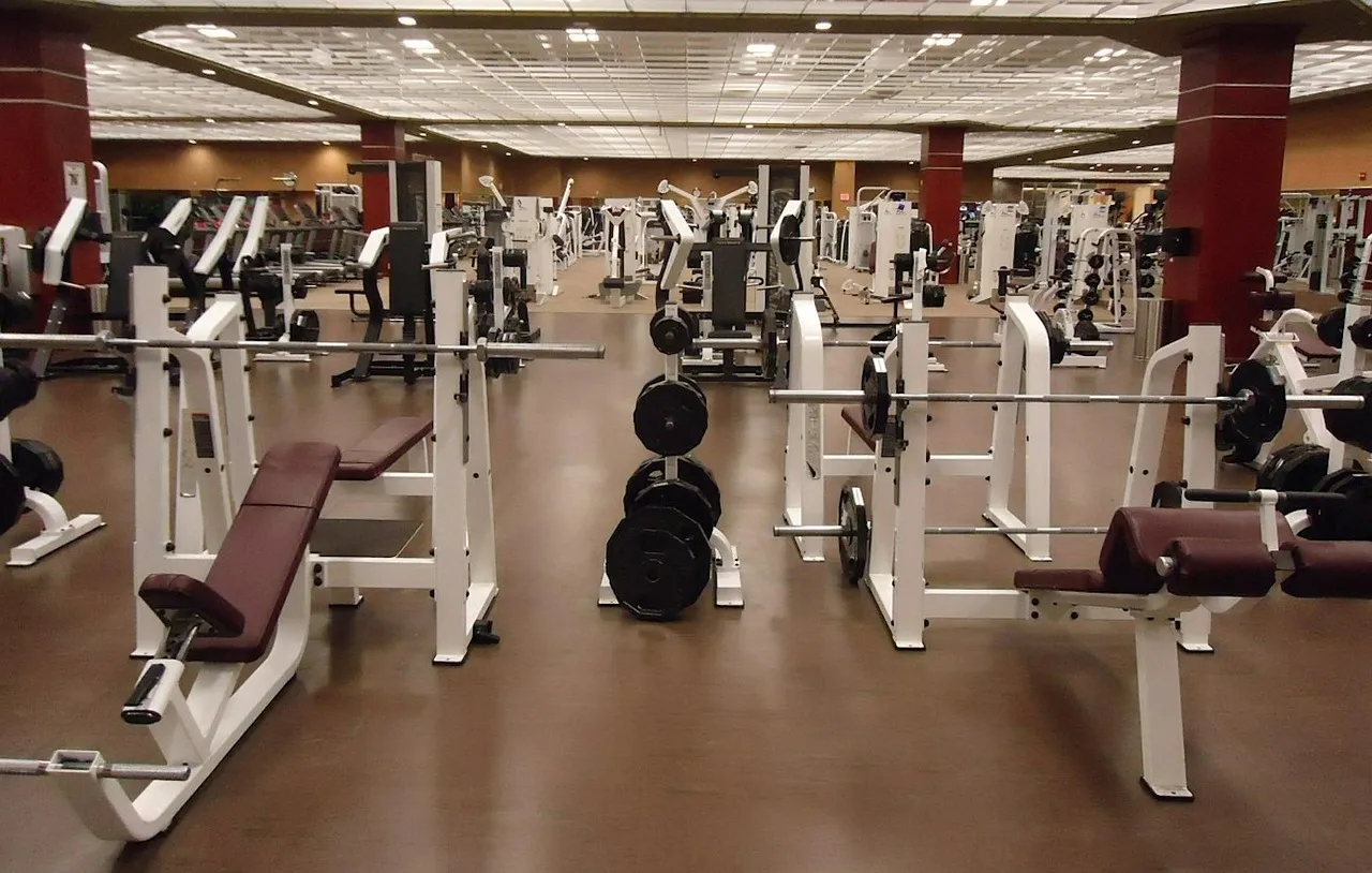 The whole gym floor: rows of squat racks, benches, and plate trees