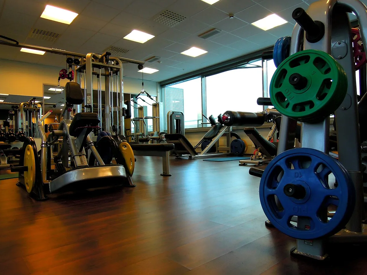 A gym floor with a plate tree in front, then cable machines and benches by tall windows