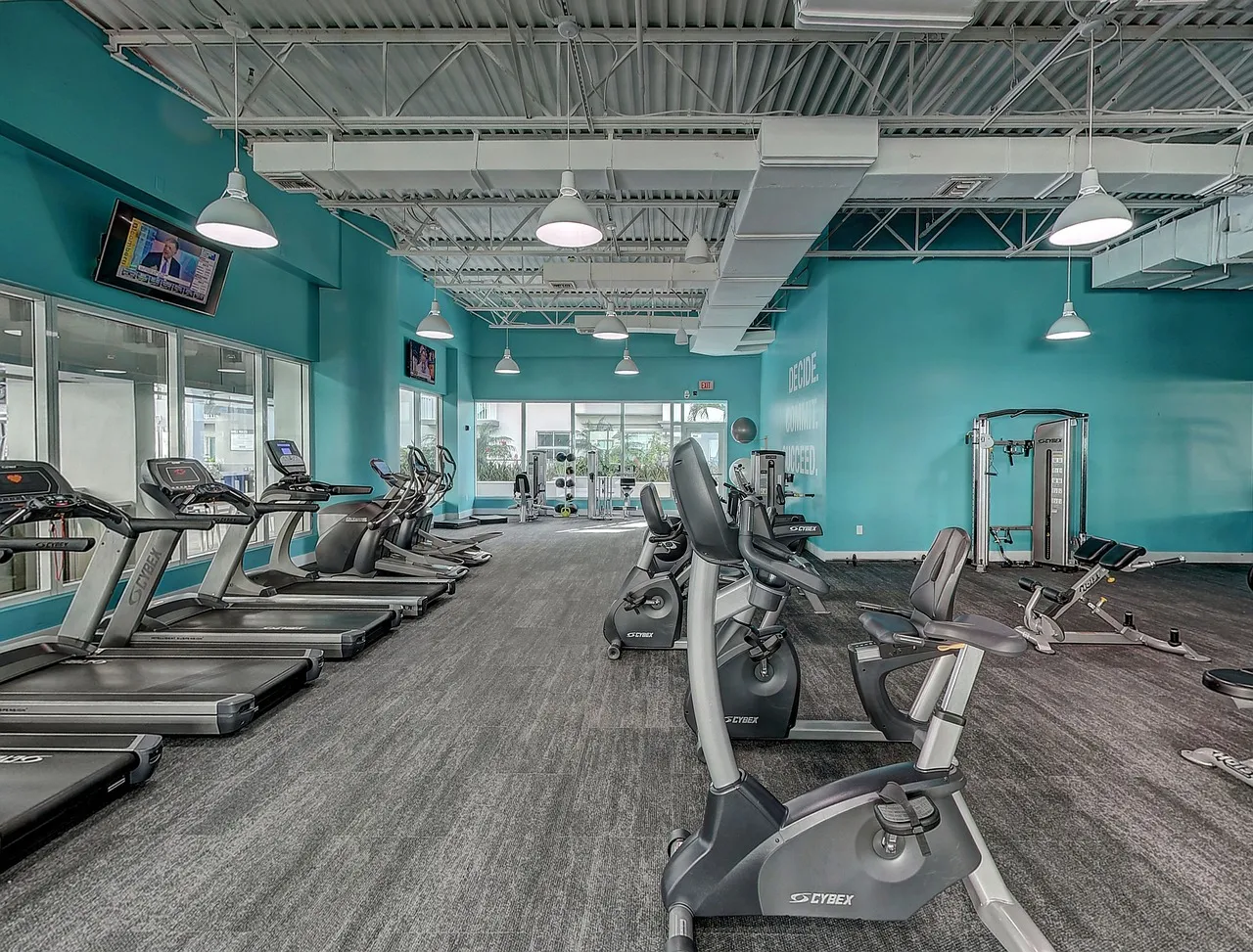 A bright cardio room lined with treadmills and bikes