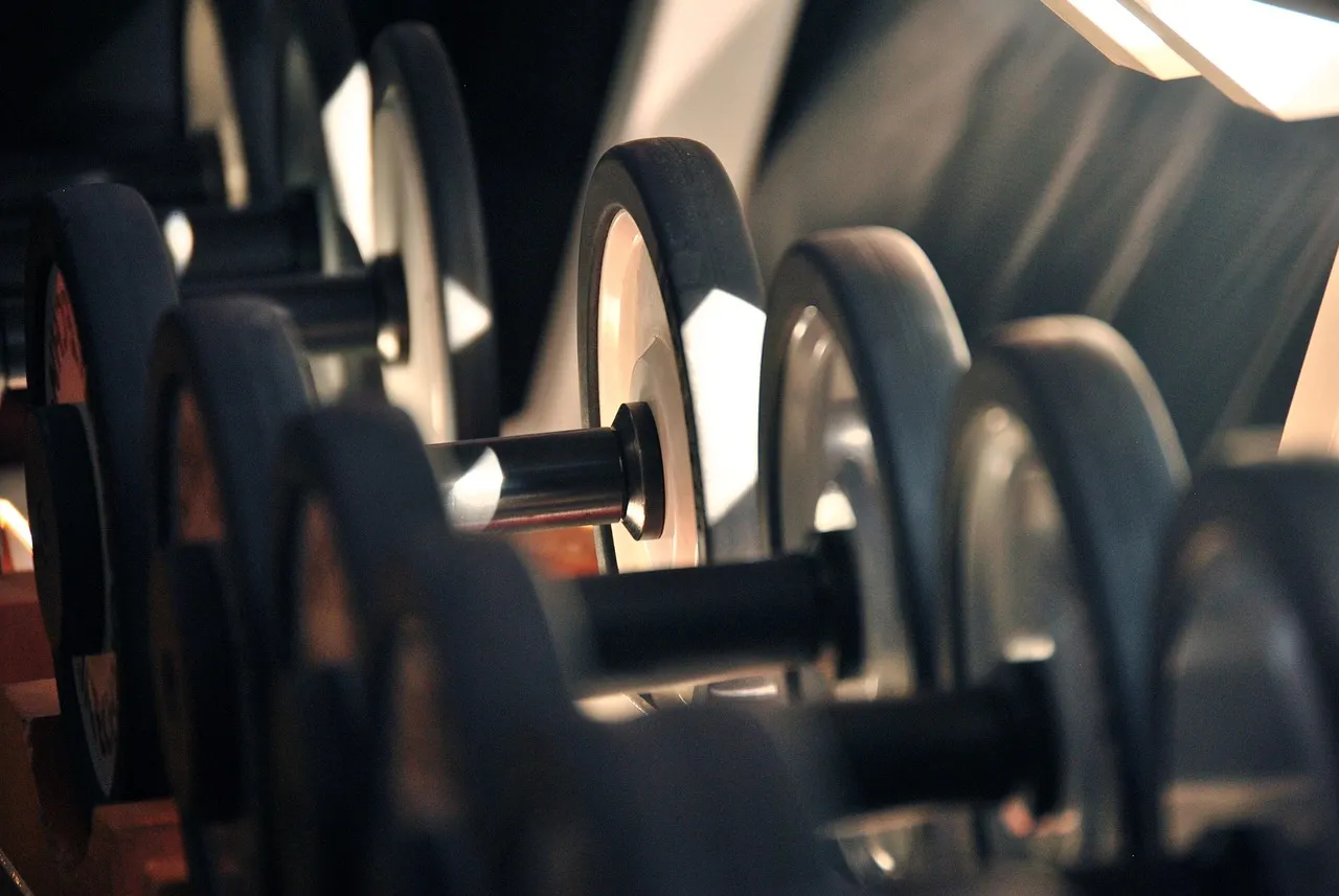 A long rack of heavy round dumbbells